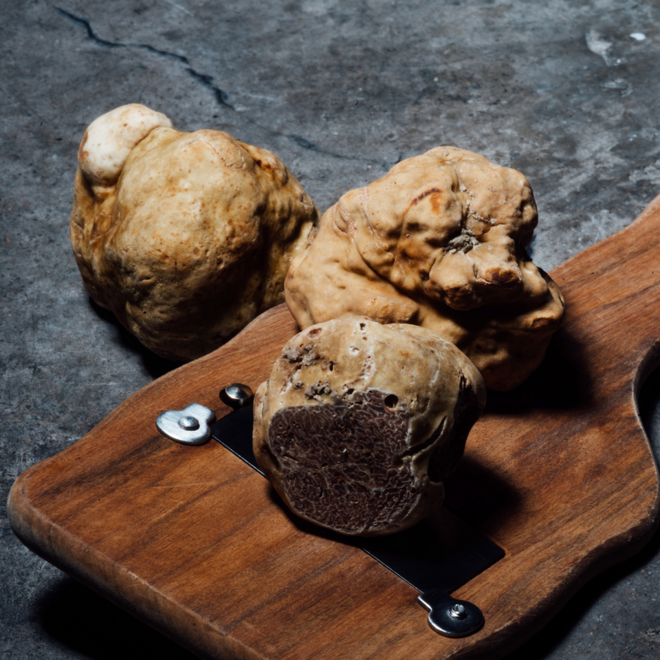 The french black truffle, tuber melanosporum is the truffle used the most within the range of A taste of Paris.